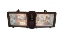 Security Lights