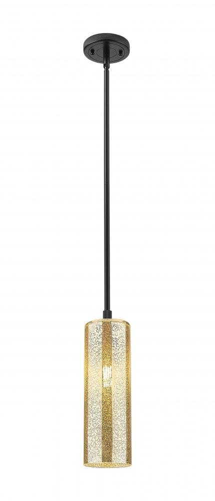 Crown Point - 1 Light - 5 inch - Matte Black - Pendant