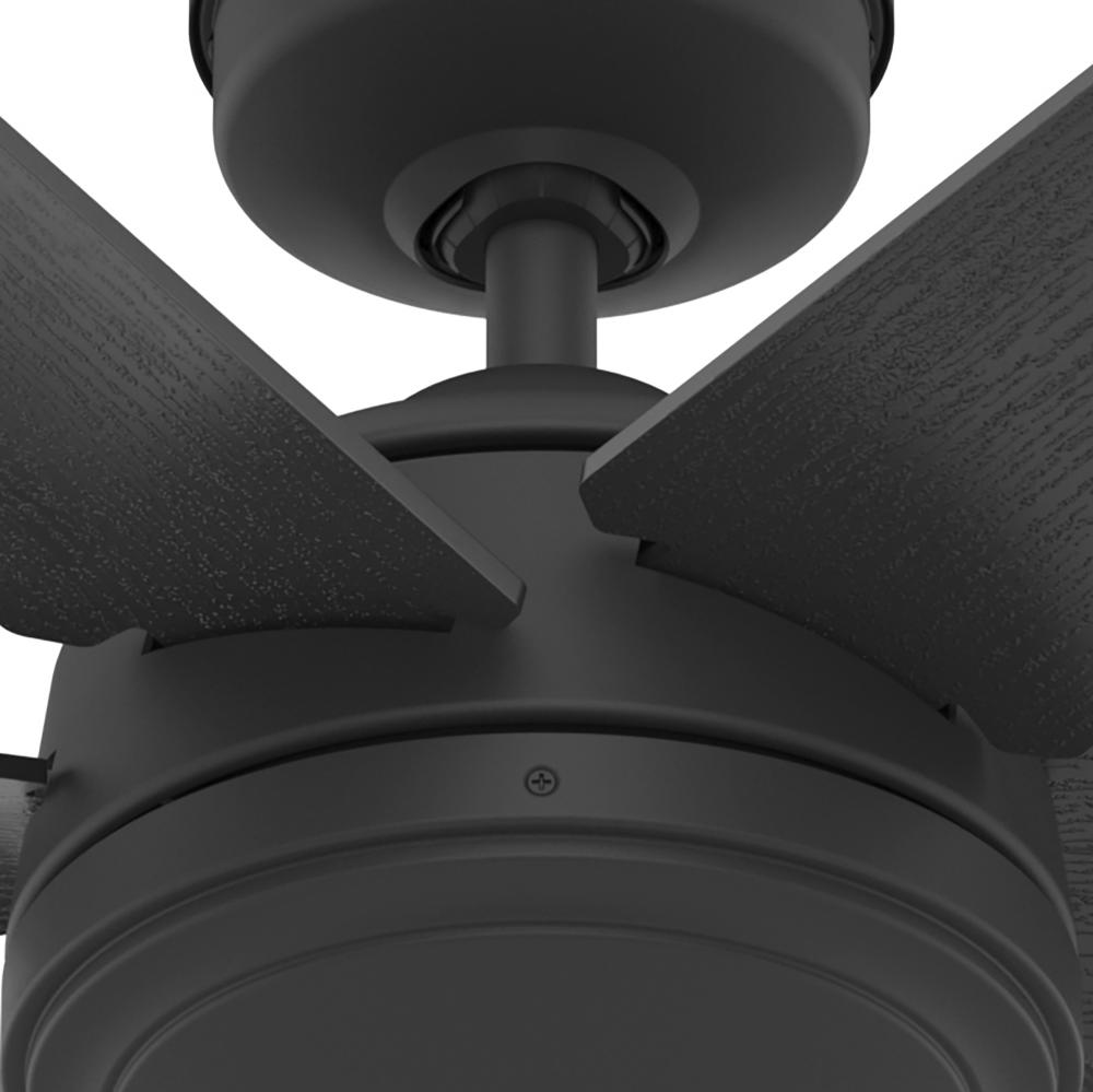 Hunter Jetty Ceiling Fan - Thumbnail 2