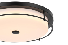 LD304F20BK_4.jpg